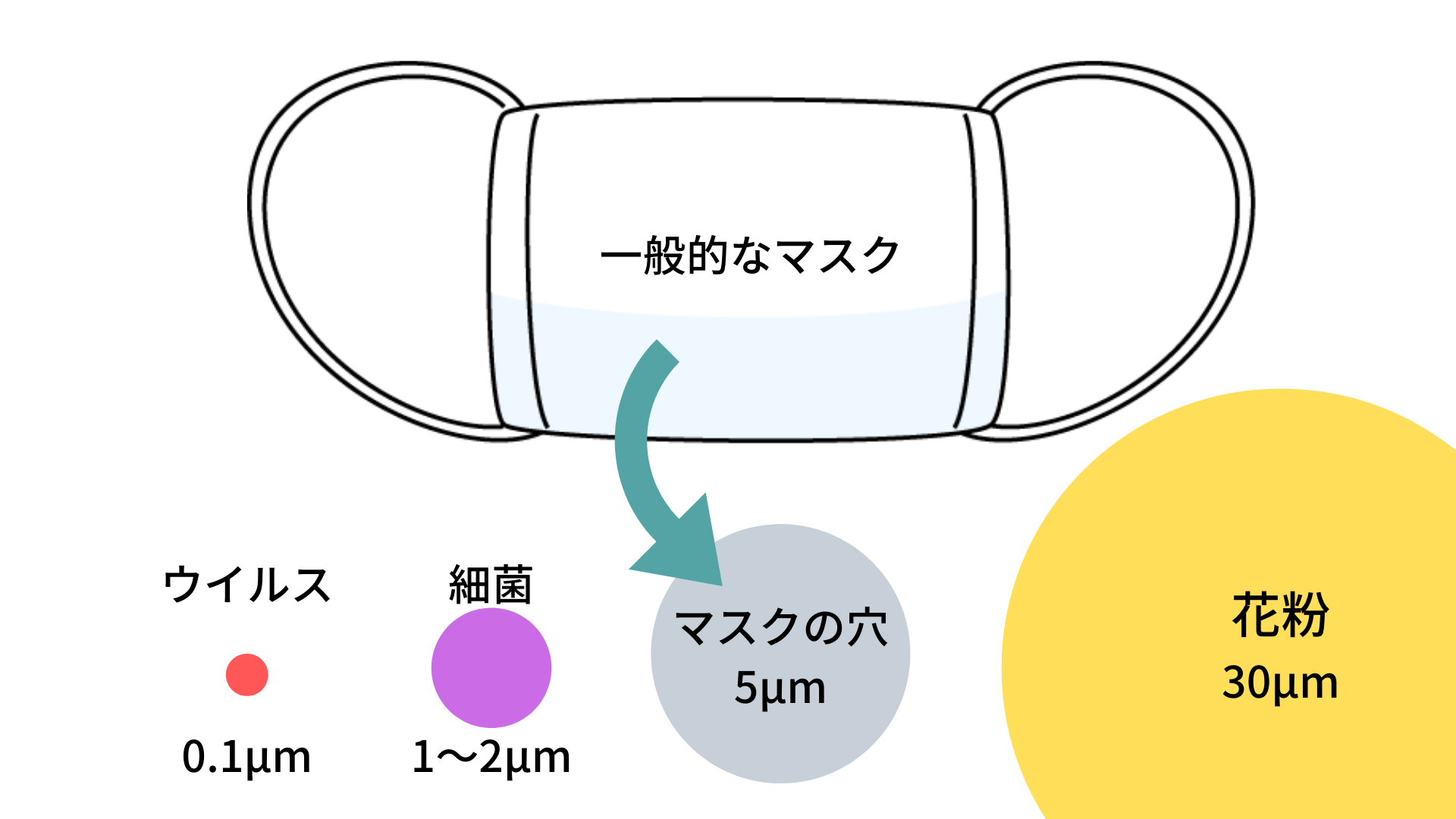 コロナウイルスはマスクの穴を簡単に通り抜けられる大きさ